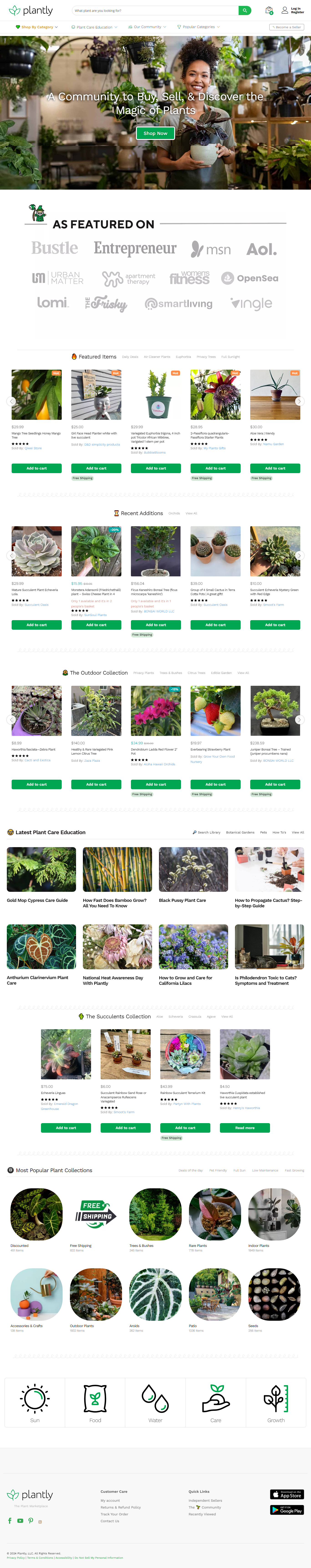 نمونه طراحی سایت فروش گل و گیاه